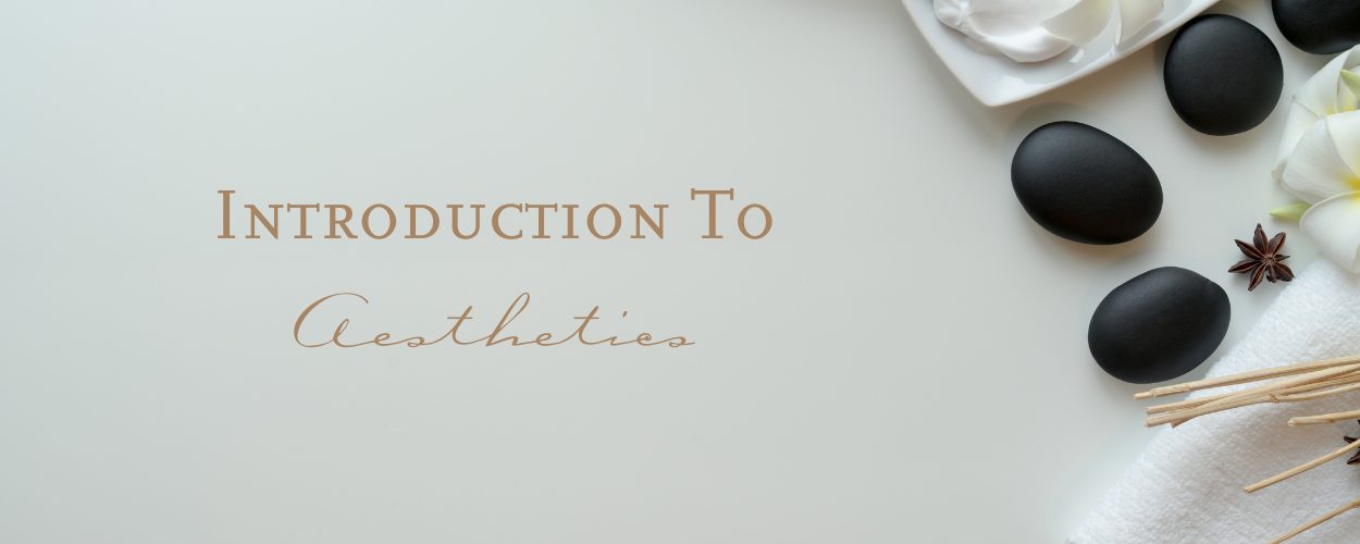 Introduction To Aesthetics